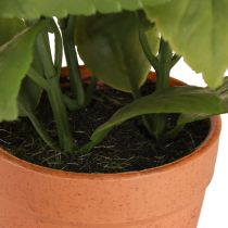 Artículo Albahaca artificial en maceta Planta artificial para hierbas 22 cm 2 piezas