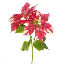Artículo Estrella navideña artificial en rojo crema L35cm 6 piezas 2 manojos
