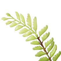 Artículo Decoración de helecho artificial helecho artificial planta artificial verde 42cm