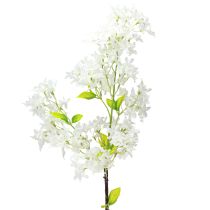 Artículo Rama de lila artificial con flores blancas L95cm