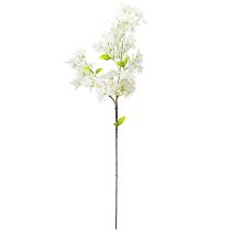 Artículo Rama de lila artificial con flores blancas L95cm