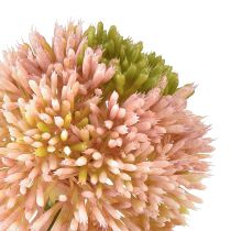 Artículo Allium artificial ajo ornamental rosa verde Ø10cm L65cm
