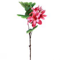 Rama de orquídea artificial Bauhinia planta artificial rosa 62cm