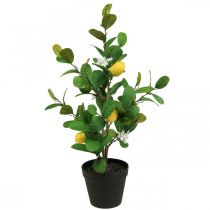 Artículo Limonero artificial en maceta, 65cm, planta decorativa, planta artificial