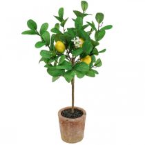Artículo Limonero artificial, maceta 58cm, árbol decorativo, estilo mediterráneo