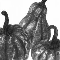 Calabaza decorativa plateada, negra surtida Al10,5 / 14,5 / 17,5cm 3ud