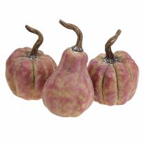 Artículo Juego de mini calabazas naranja, lila Ø6,5–7cm 6 piezas