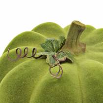Artículo Calabaza decorativa flocada verde musgo 32cm