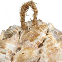 Artículo Bola decorativa conchas de caracol decoración colgante natural Ø12cm