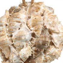 Artículo Bola decorativa conchas de caracol decoración colgante natural Ø12cm