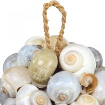 Bola de decoración marinera bola de concha de caracol de mar decoración natural Ø12cm