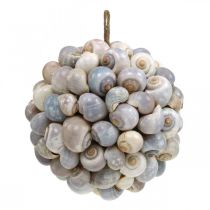 Artículo Bola decorativa caracoles de mar bola de concha decoración natural marítima Ø19cm