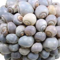 Deco bola caracoles de mar grande Decoración marinera para colgar Ø25cm