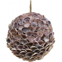 Artículo Decoración decorativa de conchas de bolas para colgar decoración marítima Ø18cm