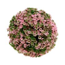 Artículo Bola decorativa planta bola verde rosa Ø15cm 1 pieza