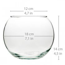 Florero de bola florero de vidrio florero de mesa redondo transparente florero Ø18cm H14cm