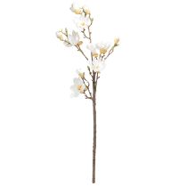 Artículo Rama de magnolia artificial con flores, diámetro 2–10 cm, color crema, largo 105 cm