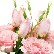 Flores artificiales Lisianthus rosa flores artificiales de seda 50cm 5pcs