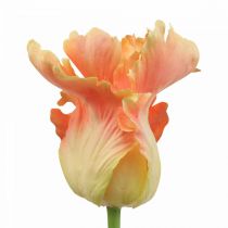 Artículo Flor artificial, loro tulipán naranja, flor de primavera 63cm