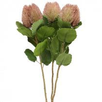 Flores artificiales, Banksia, Proteaceae Blanco-Morado L58cm H6cm