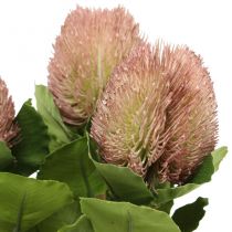 Flores artificiales, Banksia, Proteaceae Blanco-Morado L58cm H6cm