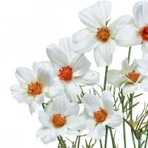Artículo Flores artificiales Cosmea flores de seda blanca Al.51cm 3 piezas
