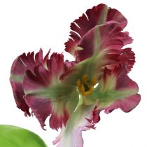 Flor artificial tulipán loro tulipán decorativo artificial violeta 63cm