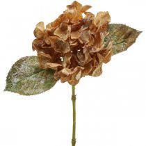 Artículo Hortensia artificial seca Drylook decoración de otoño L33cm