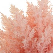 Artículo Planta artificial Astilbe Decoración Ramas Artificial Rosa H38cm 5 Piezas