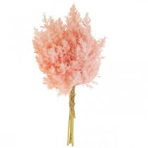 Artículo Planta artificial Astilbe Decoración Ramas Artificial Rosa H38cm 5 Piezas