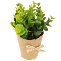 Artículo Plantas Artificiales Helecho Artificial Boj 15-19cm 4uds