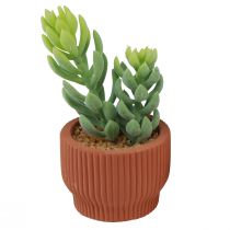 Artículo Plantas artificiales Cactus suculentos Planta verde artificial 14,5/15,5 cm 2 piezas
