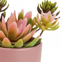 Plantas artificiales en macetas suculentas artificiales H13cm 3pcs