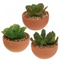 Plantas artificiales en macetas suculentas artificiales H9cm 3pcs