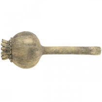 Artículo Adorno de piedra artificial amapola decoración antigua marrón Ø13cm L37.5cm