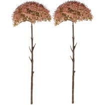 Artículo Rama artificial decoración de otoño rama de flores marrón rojo 45cm 2 piezas