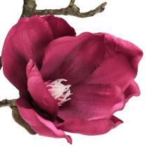Artículo Rama de magnolia artificial Flores artificiales Burdeos L100cm