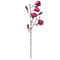 Artículo Rama de magnolia artificial Flores artificiales Burdeos L100cm