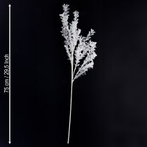 Artículo Rama artificial esmerilada decorativa para invierno, color blanco, 78 cm, 2 unidades