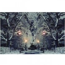 Cuadro LED paisaje invernal parque con farolillos Mural LED 58x38cm