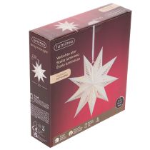 Artículo Decoración navideña LED en forma de estrella para colgar, luz blanca cálida, para interiores, 38 cm.
