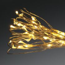 Artículo Cadena de luces LED años 50 para batería 5m blanco cálido