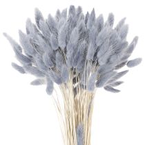Artículo Hierba de cola de liebre seca (Lagurus) gris para ramos de flores secas, 60 cm, 75 g