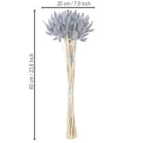 Artículo Hierba de cola de liebre seca (Lagurus) gris para ramos de flores secas, 60 cm, 75 g