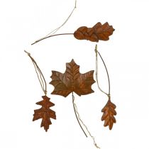 Hojas decorativas de otoño con aspecto de óxido de metal L20cm 4pcs