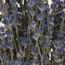 Artículo Flores secas de lavanda para decoración, naturales, 100 g, 40 cm, 100 g x 2 unidades