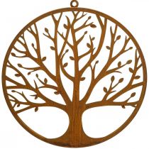 Decoración de pared árbol de la vida pátina decoración anillo anillo de metal Ø38cm