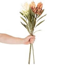 Artículo Flor artificial de Protea Leucadendron con tallo largo, 65 cm, 3 piezas