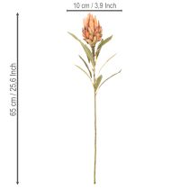 Artículo Flor artificial de Protea Leucadendron con tallo largo, 65 cm, 3 piezas
