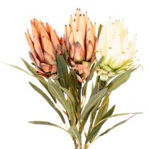 Artículo Flor artificial de Protea Leucadendron con tallo largo, 65 cm, 3 piezas